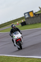 PJ-Motorsport-2019;anglesey-no-limits-trackday;anglesey-photographs;anglesey-trackday-photographs;enduro-digital-images;event-digital-images;eventdigitalimages;no-limits-trackdays;peter-wileman-photography;racing-digital-images;trac-mon;trackday-digital-images;trackday-photos;ty-croes